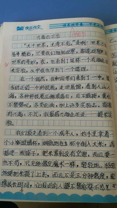 (开心动物园的作文怎么写)在开心动物园度过的快乐时光——写一篇关于开心动物园的作文